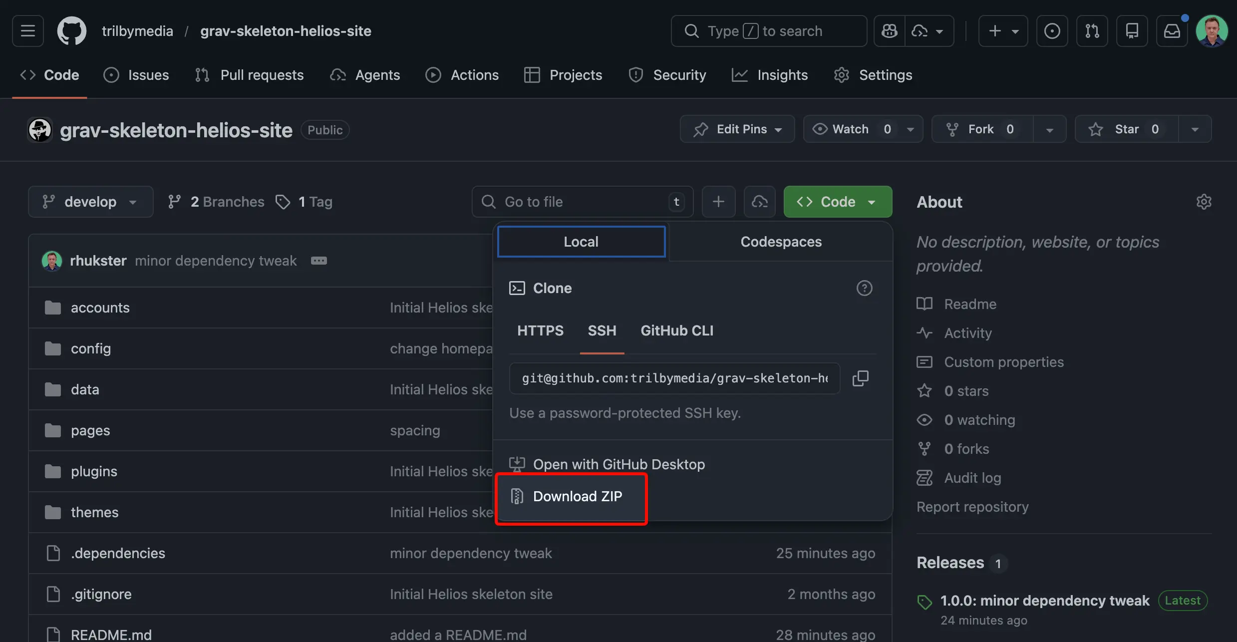 Кнопка Download ZIP